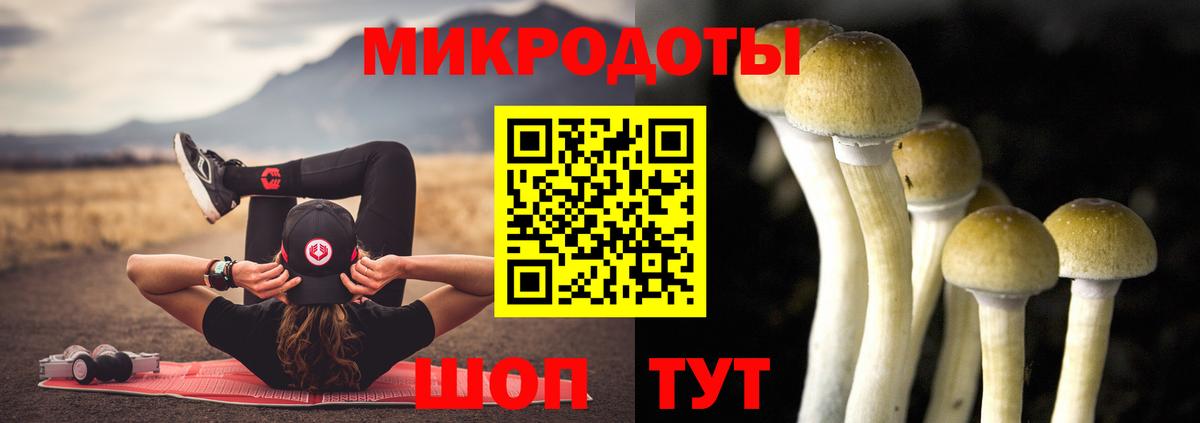 Псилоцибиновые грибы мицелий  Галлюциногенные грибы Magic Shrooms  Выкса  Вход с VPN 